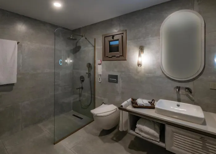 Deluxe Double or Twin Room Garden View