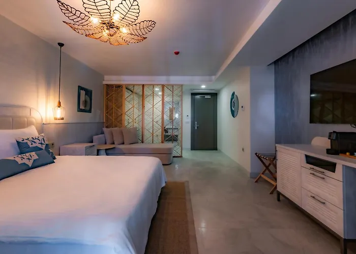 Deluxe Double or Twin Room Garden View