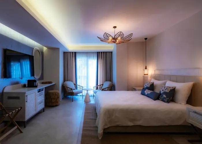 Deluxe Double or Twin Room Garden View