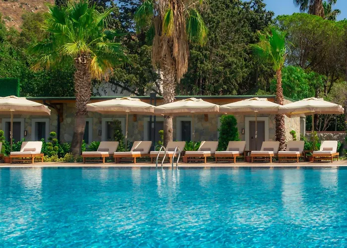 Double Room Pool View